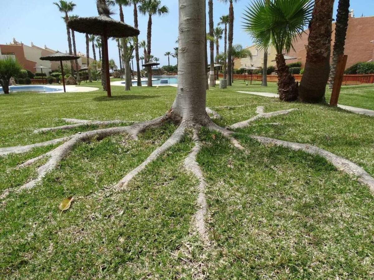 Apartment En Jardines De Zahara F4a